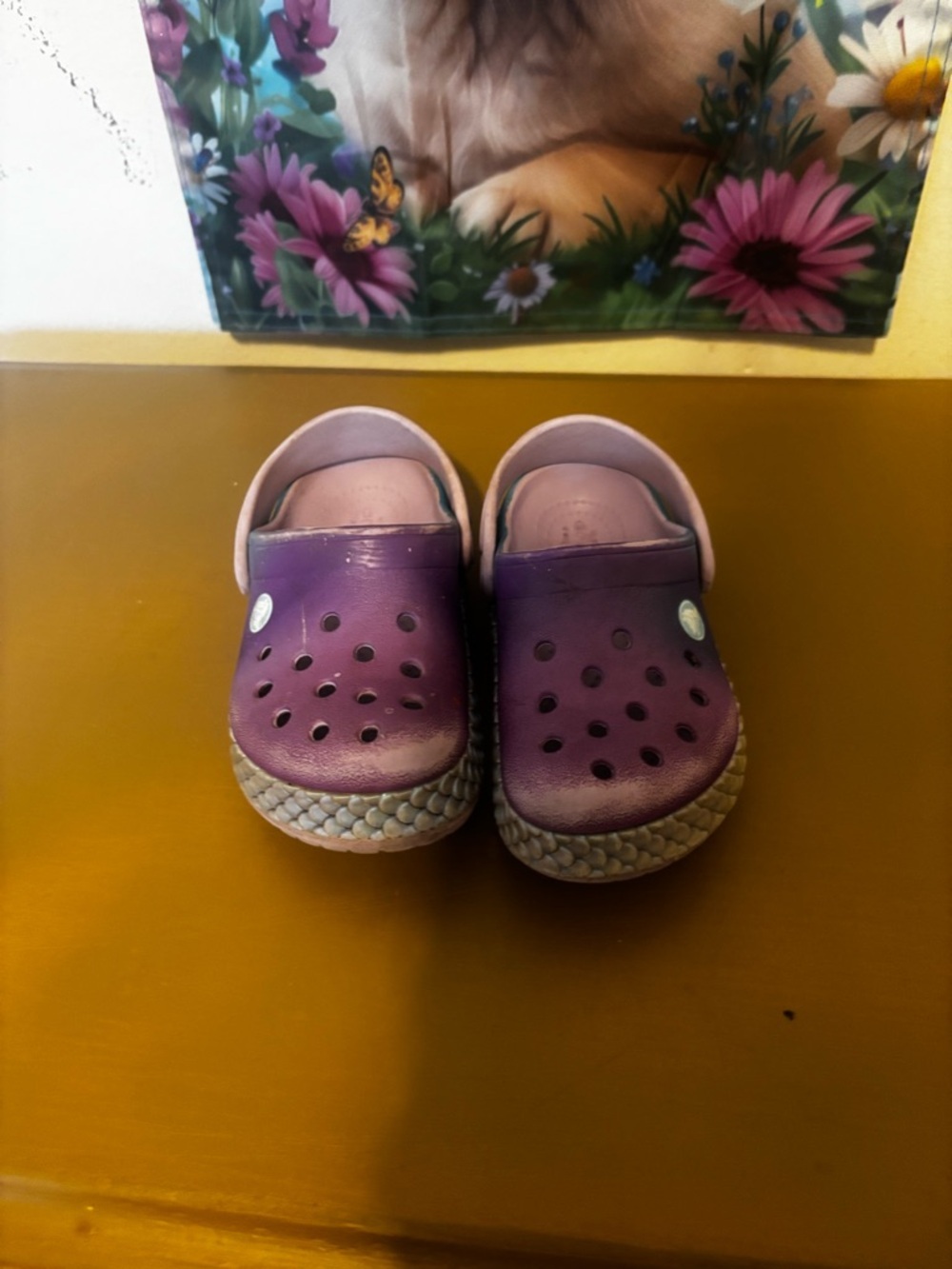 CROCS Kids Purple and Pink Slip-On Clogs